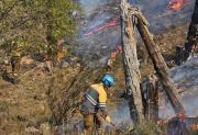 Córdoba bajo alerta por riesgo extremo de incendios forestales