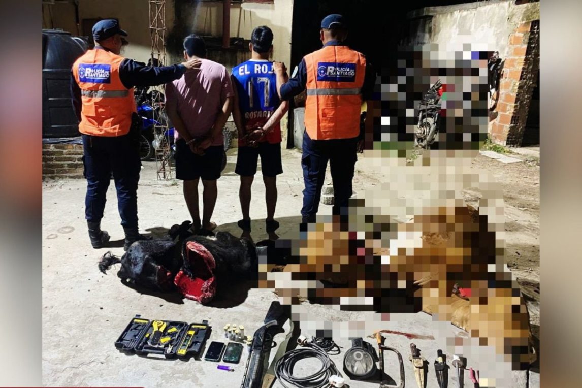 Abigeato en Pinto: interceptan vehículo con animales faenados, arma de fuego y herramientas