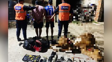 Abigeato en Pinto: interceptan vehículo con animales faenados, arma de fuego y herramientas