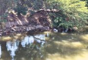 Alerta sanitaria: el Canal San Martín, un tapón de basura y desidia que indigna a los vecinos