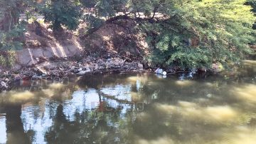 Alerta sanitaria: el Canal San Martín, un tapón de basura y desidia que indigna a los vecinos