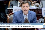 Mukdise en Diputados: “Veníamos con la voluntad de consensuar, pero con el Artículo 30 y 75 no se puede”