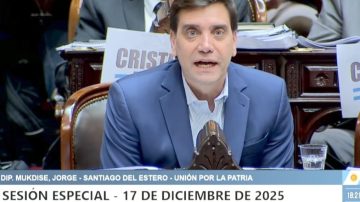 Mukdise en Diputados: “Veníamos con la voluntad de consensuar, pero con el Artículo 30 y 75 no se puede”