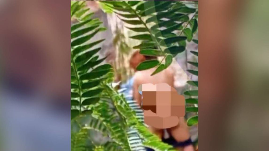 Insólitas imágenes: sorprenden a una pareja en pleno acto sexual frente a una aula de computación