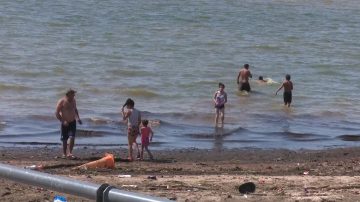 ¡Hay viagra en el Río de la Plata!: un informe del Conicet detectó diversas sustancias en el agua