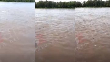 Comenzó la temporada de desove en el río Dulce, fenómeno clave para la reproducción