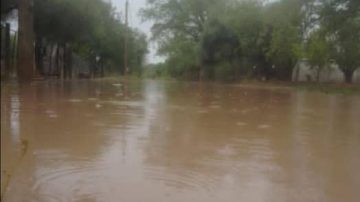 La lluvia hizo estragos en el interior: Frías, Campo Gallo y Tintina las más afectadas