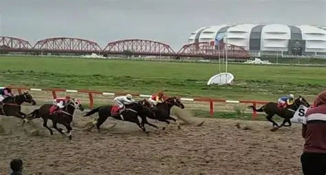 El turf vuelve a escena este domingo en el Hipódromo 27 de Abril