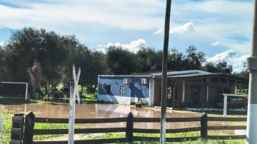 Crecida del Río Dulce: viviendas y caminos afectados en El Charco y alrededores