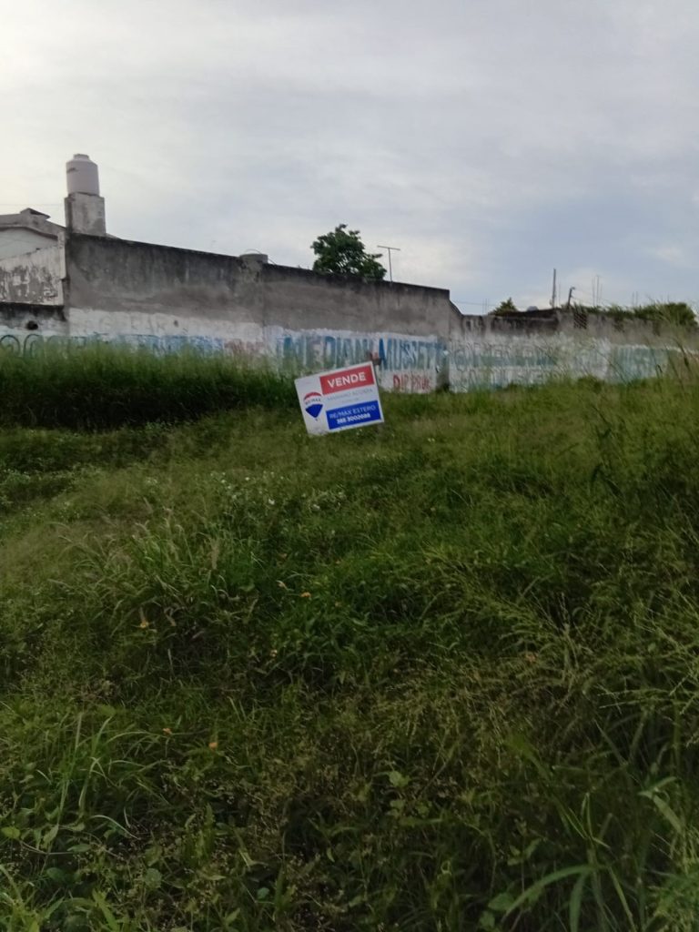 Vecinos del barrio Colón denuncian abandono de un baldío y exigen respuestas urgentes