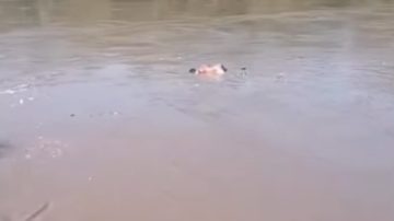 Vecinos de Los Leales afirman haber visto un cuerpo flotando en las aguas del río Salí