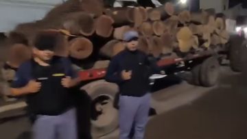 Secuestraron más de 100 rollos de quebracho en un operativo de control forestal