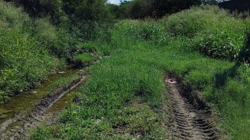 Reclamo vecinal en el barrio Borges: más de 20 años de abandono y ningún tipo de solución