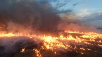 El fuego no da tregua: 21 incendios activos en La Pampa, situación crítica en la Reserva Natural de Utracán