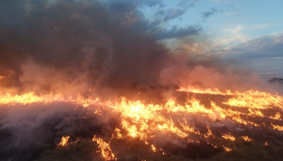 El fuego no da tregua: 21 incendios activos en La Pampa, situación crítica en la Reserva Natural de Utracán