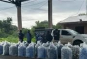 Secuestran casi una tonelada de hojas de coca en la Ruta 2 en el operativo “Muralla Norte”
