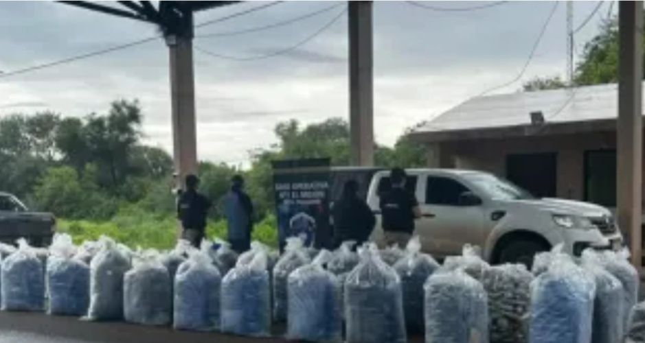 Secuestran casi una tonelada de hojas de coca en la Ruta 2 en el operativo “Muralla Norte”