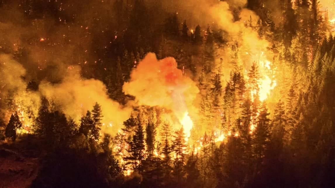 Rosario Central impulsa una campaña solidaria por la Patagonia