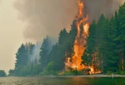 Declaran la emergencia ígnea en cuatro provincias por incendios en la Patagonia