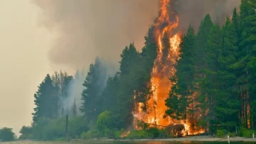 Declaran la emergencia ígnea en cuatro provincias por incendios en la Patagonia