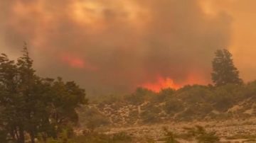 Incendios en Chubut: se reactivan focos en Los Alerces y gobernadores patagónicos reclaman Ley de Emergencia Ígnea