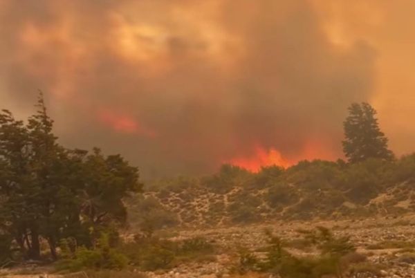 Incendios en Chubut: se reactivan focos en Los Alerces y gobernadores patagónicos reclaman Ley de Emergencia Ígnea