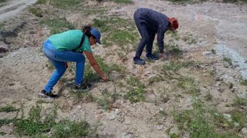 Tesoro arqueológico en Guasayán: intensifican rescate de restos ancestrales tras las intensas lluvias