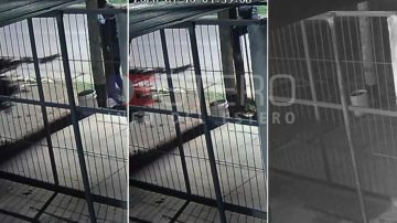 Inseguridad en el Barrio Borges: las nuevas luces LED duraron menos de 24 horas