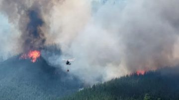 Emergencia en la Patagonia: incendios fuera de control en Chubut obligan a evacuar a 700 personas