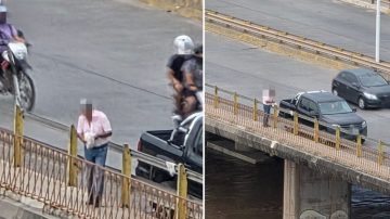 ¡Indignante! Detuvo su camioneta en el puente para tirar basura