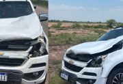 Un conductor santafesino resultó ileso tras chocar contra dos animales cerca de Añatuya