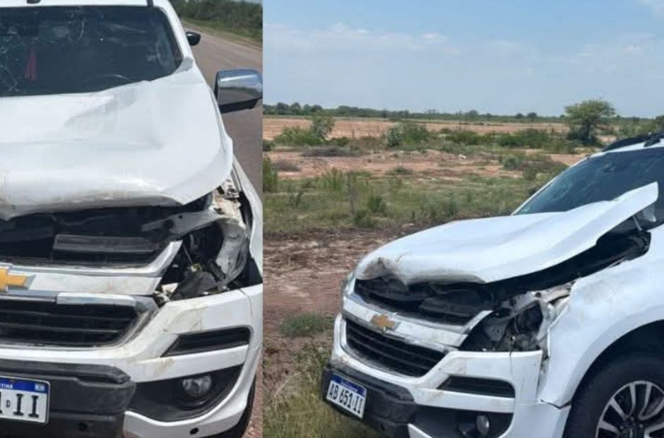 Un conductor santafesino resultó ileso tras chocar contra dos animales cerca de Añatuya