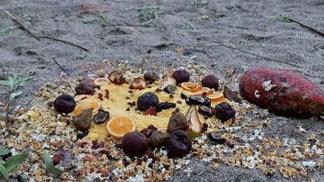 El rincón de las ofrendas: apareció un “trabajo” umbanda a la vera del río Dulce