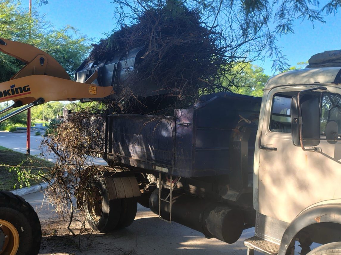 Trabajan en la limpieza y mantenimiento del parque Aguirre 