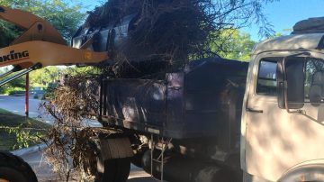 Trabajan en la limpieza y mantenimiento del parque Aguirre 