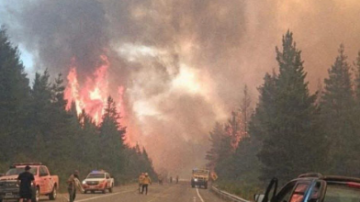 Fuego sin control en Chubut: cortan la ruta 40 por el avance de las llamas hacia la calzada