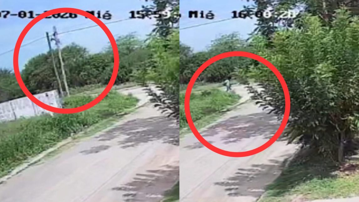 VIDEO | A plena luz del día y con total impunidad: captaron a un delincuente robando un foco en el barrio Borges