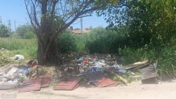 Tres manzanas en el abandono: vecinos del B° Borges denuncian peligroso basural