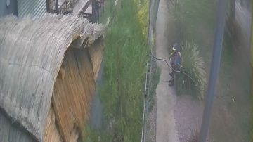 A plena luz del día, un delincuente robó mercadería de un bar