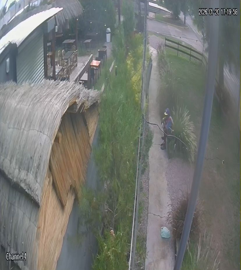 A plena luz del día, un delincuente robó mercadería de un bar