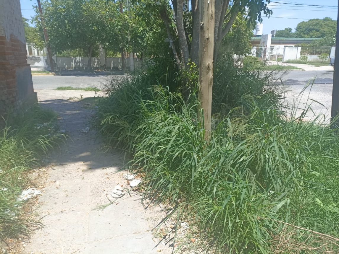 Vecinos del barrio Sargento Cabral denuncian abandono y acumulación de basura