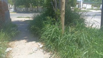 Vecinos del barrio Sargento Cabral denuncian abandono y acumulación de basura