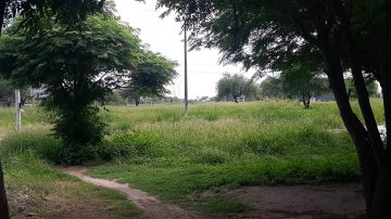 B° Autonomía: vecinos solicitan la limpieza de la Avenida Circunvalación