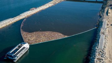 La “aspiradora gigante” que limpia el planeta: The Ocean Cleanup marca un récord histórico en 2025