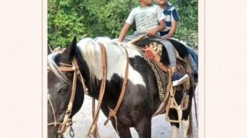 Indignación en Lavalle: robaron el caballo que era parte de la terapia de dos niños con autismo