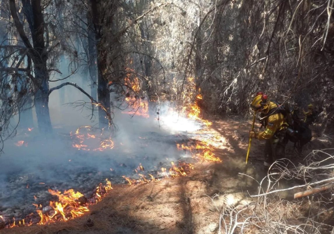 Incendios en Chubut: se aferran al pronóstico de lluvias para sofocar los focos que se reavivaron