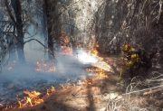 Incendios en Chubut: se aferran al pronóstico de lluvias para sofocar los focos que se reavivaron