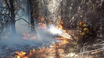 Incendios en Chubut: se aferran al pronóstico de lluvias para sofocar los focos que se reavivaron
