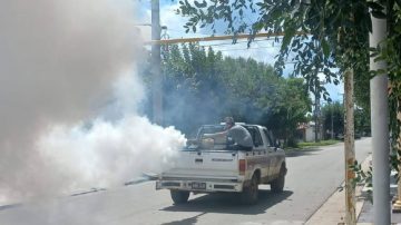 Cronograma de fumigación en la ciudad de La Banda
