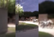 VIDEO. Violento enfrentamiento entre grupos rivales alteró la calma en el barrio Los Flores